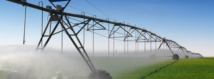 Vermi Solutions water packages